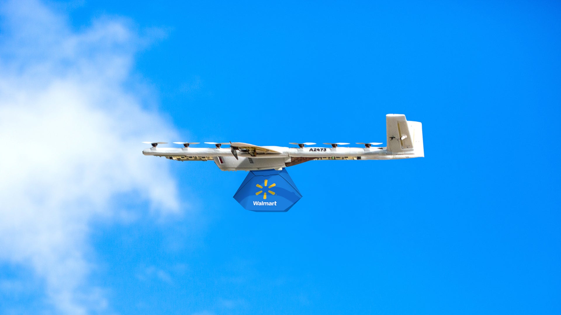 wing-drone-carrying-delivery