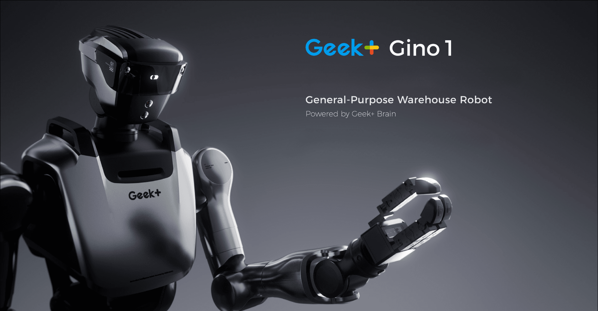 Geek_ce107b46f4