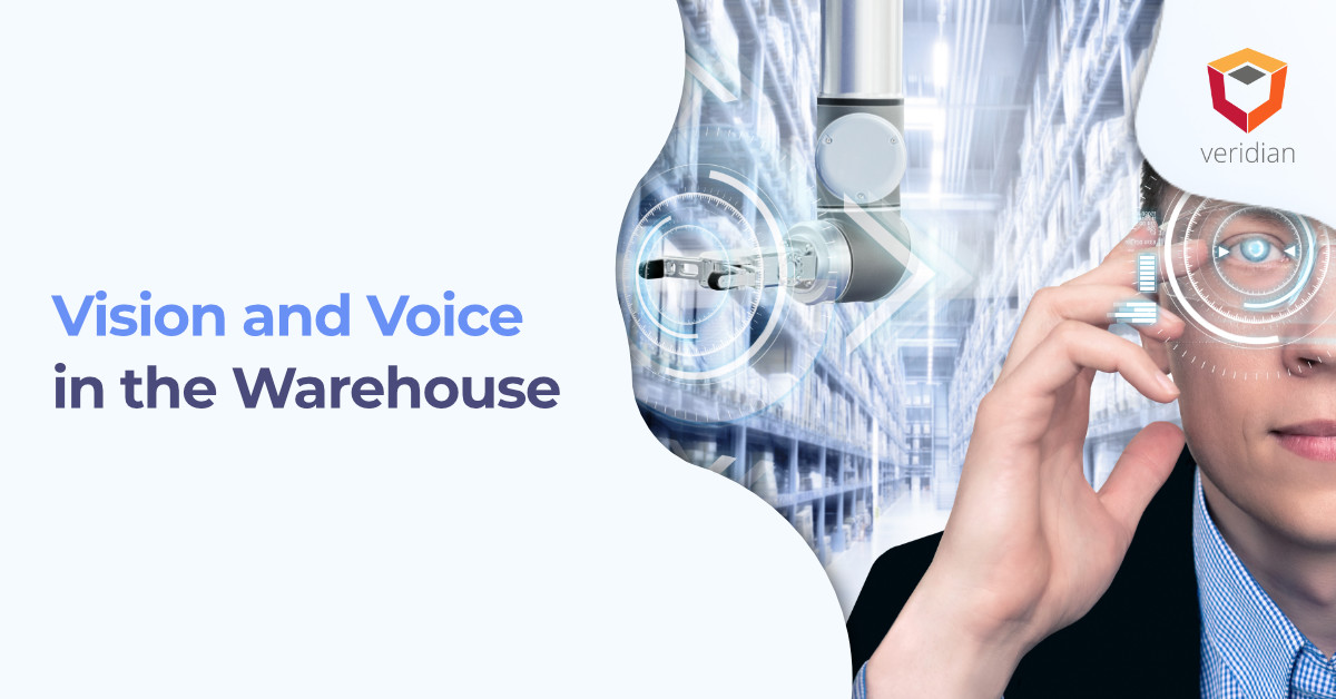 Vision and Voice in the Warehouse